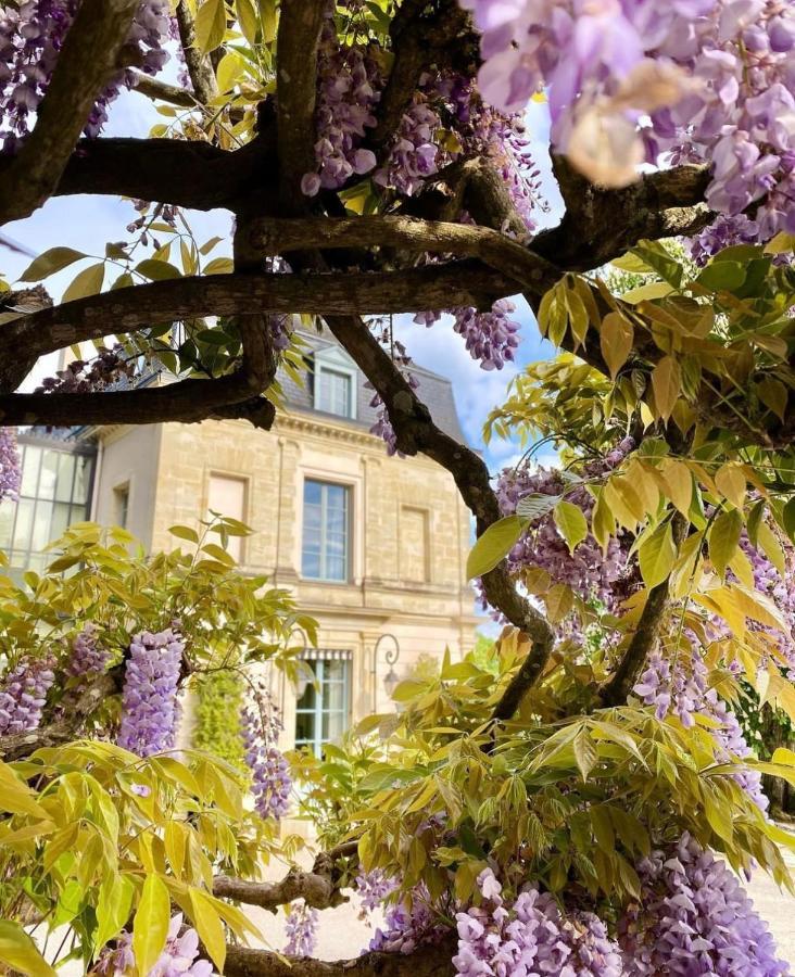 Domaine Des Bidaudieres Vouvray Bagian luar foto